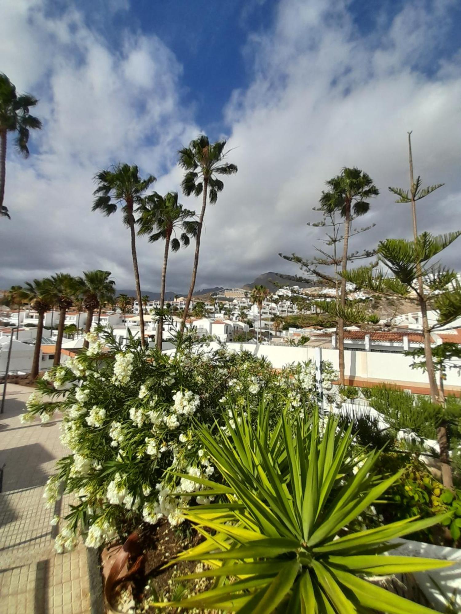 Apartments Island Village Heights 아데제 외부 사진